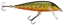 Picture of Rapala CountDown Minnow