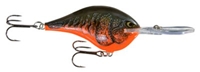 Picture of Rapala DT (Dives-To) Series Crankbaits