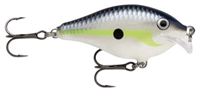 Picture of Rapala Scatter Rap Crank Shallow