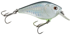 Picture of Boyd Duckett Series Squarebill Crankbait