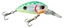 Picture of Bass Pro Shops XTS Micro Light Mini Crankbaits