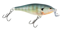 Picture of Rapala Shallow Shad Rap