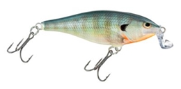 Picture of Rapala Shallow Shad Rap