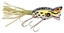 Picture of Arbogast Hula Popper