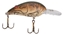 Picture of Bomber Model A Real Craw