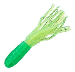 Picture of Bass Pro Shops Magnum Squirt