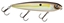 Picture of Strike King KVD Sexy Dawg Topwater Hardbaits