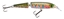 Picture of Rapala Jointed Minnow
