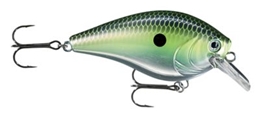 Picture of Bass Pro Shops XPS Square Bill Crankbaits