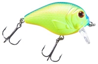 Picture of Bass Pro Shops XPS Lazer Eye The Egg