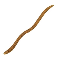 Picture of Bass Pro Shops Flick'n Shimmy Worms