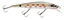 Picture of XPS Bass Hawk Minnow