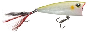 Picture of Boyd Duckett Series Popper