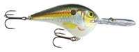 Picture of Rapala DT (Dives-To) Series Crankbaits