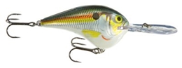 Picture of Rapala DT (Dives-To) Series Crankbaits