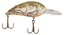 Picture of Bomber Model A Real Craw