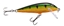 Picture of Rapala CountDown Minnow