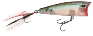 Picture of Boyd Duckett Series Popper