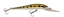 Picture of STORM ThunderStick Madflash Deep