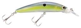 Picture of Bass Pro Shops XPS Floating Minnows