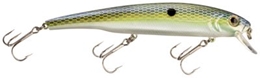 Picture of Bass Pro Shops XPS Suspending Minnows