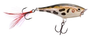 Picture of Rapala Skitter Pop