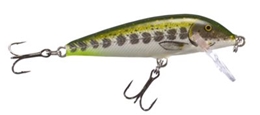 Picture of Rapala CountDown Minnow