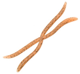 Picture of Bass Pro Shops Shimmy X2 Worms