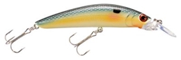 Picture of Bass Pro Shops XPS Floating Minnows