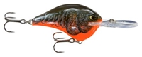 Picture of Rapala DT (Dives-To) Series Crankbaits