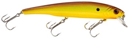Picture of Bass Pro Shops XPS Suspending Minnows