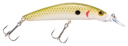 Picture of Bass Pro Shops XPS Floating Minnows