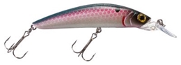 Picture of Bass Pro Shops XPS Floating Minnows