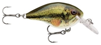 Picture of Rapala DT (Dives-To) Series Crankbaits