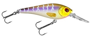 Picture of Bass Pro Shops XPS Lazer Eye Hardbaits - Static Shad