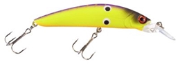 Picture of Bass Pro Shops XPS Floating Minnows