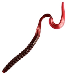 Picture of Zoom U-Tale Worm - 6''