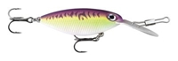 Picture of STORM Hot 'N Tot Madflash