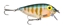Picture of STORM Original ThinFin Lures