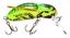 Picture of Rebel Bumble Bug