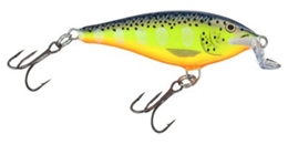 Picture of Rapala Shallow Shad Rap