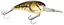 Picture of SPRO RkCrawler Crankbait