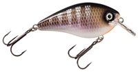 Picture of Strike King KVD Square Bill Silent Crankbaits
