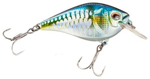 Picture of Boyd Duckett Series Squarebill Crankbait