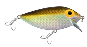 Picture of STORM Original ThinFin Lures