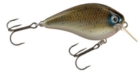 Picture of Strike King KVD Square Bill Silent Crankbaits