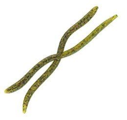 Picture of Bass Pro Shops Shimmy X2 Worms
