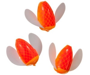 Picture of Worden's Spin-N-Glo