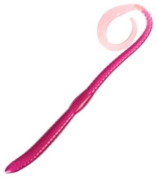 Picture of Bass Pro Shops Squirmin' Super Worm