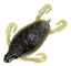 Picture of Bombshell Turtle Hybrid
